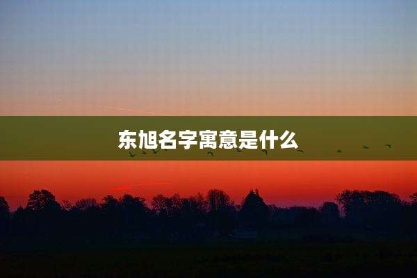东旭名字寓意是什么
