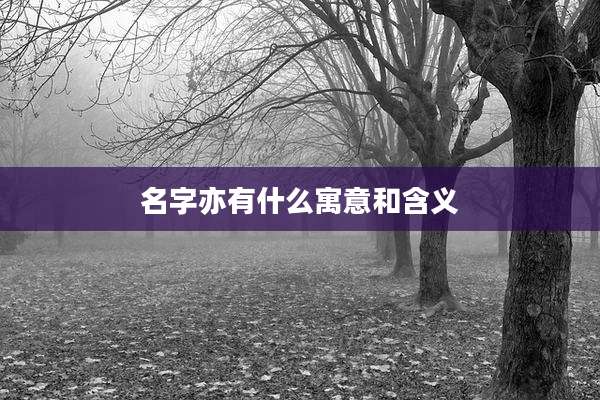 名字亦有什么寓意和含义