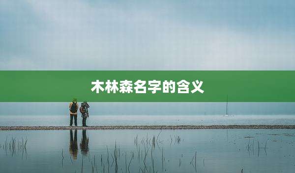 木林森名字的含义