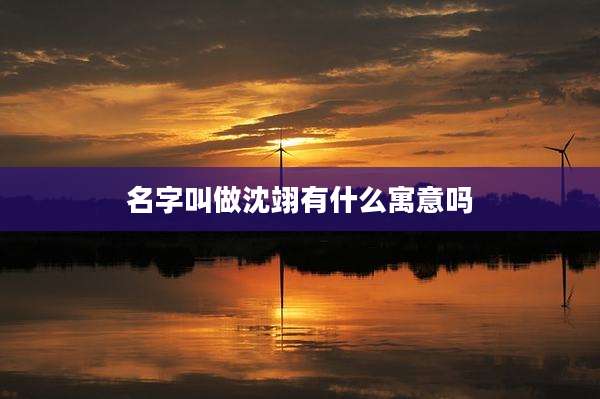 名字叫做沈翊有什么寓意吗