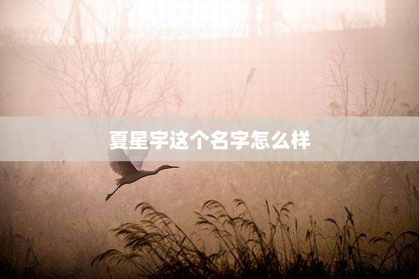 夏星宇这个名字怎么样
