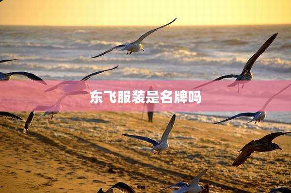 东飞服装是名牌吗