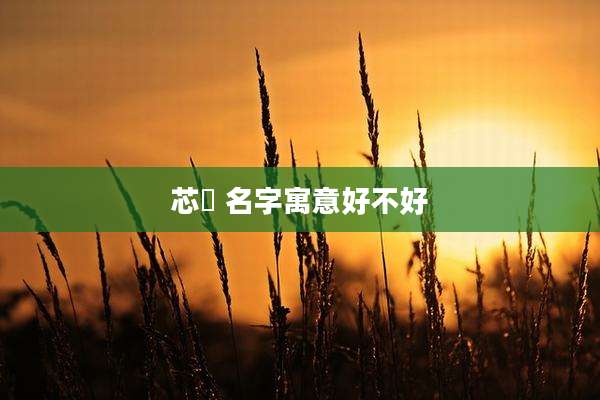 芯玥 名字寓意好不好