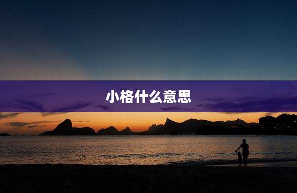 小格什么意思