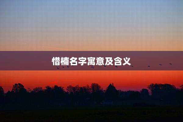 惜楠名字寓意及含义