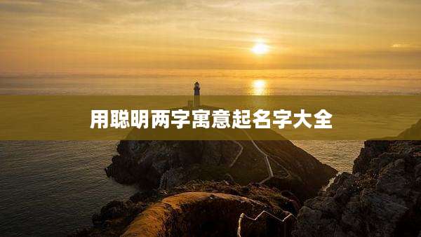 用聪明两字寓意起名字大全