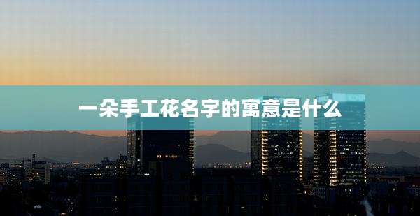 一朵手工花名字的寓意是什么