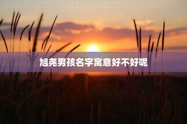 旭尧男孩名字寓意好不好呢