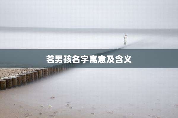 茗男孩名字寓意及含义