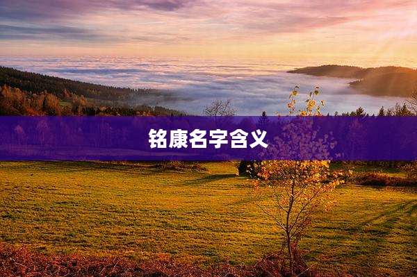 铭康名字含义