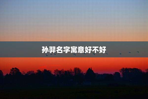 孙羿名字寓意好不好