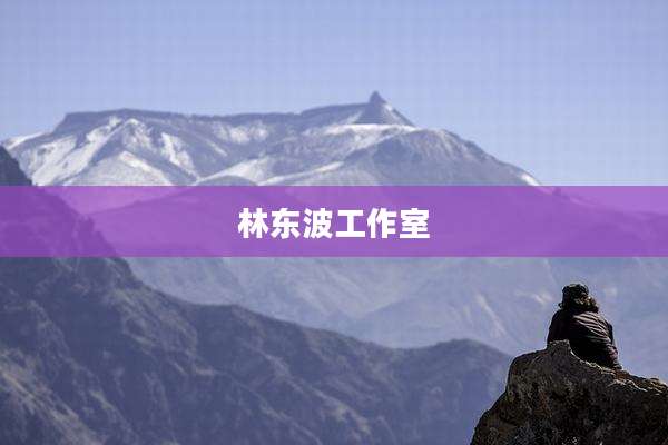 林东波工作室