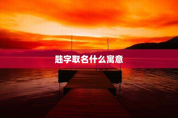 韪字取名什么寓意