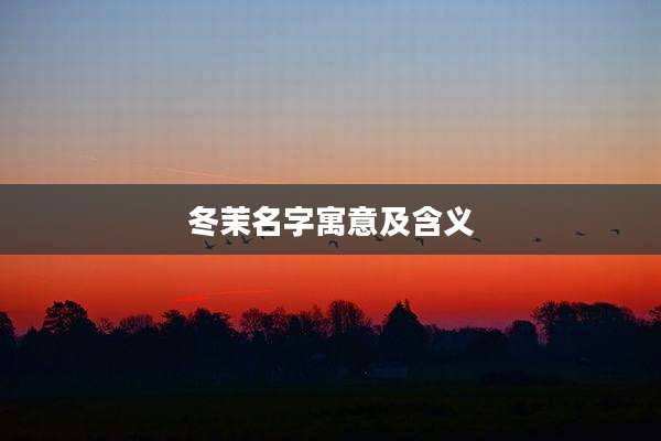 冬茉名字寓意及含义