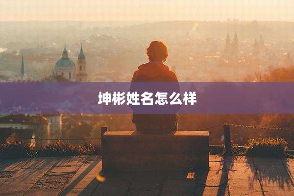 坤彬姓名怎么样