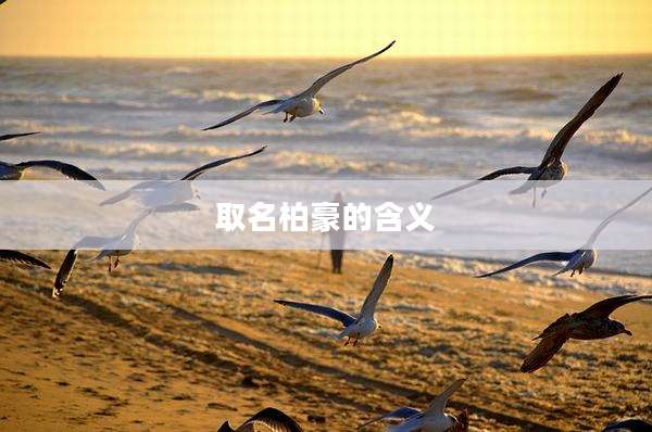 取名柏豪的含义