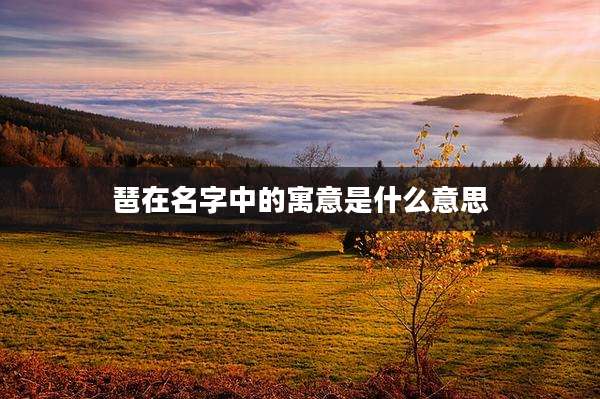 琶在名字中的寓意是什么意思