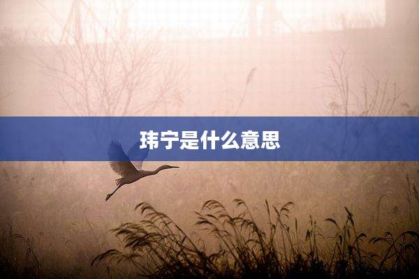 玮宁是什么意思