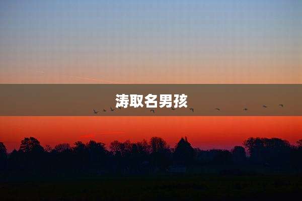涛取名男孩
