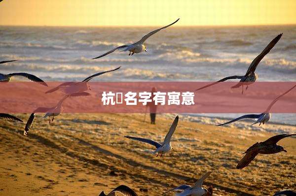 杭玥名字有寓意