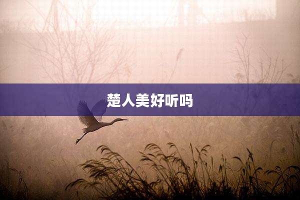 楚人美好听吗