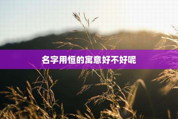 名字用恒的寓意好不好呢