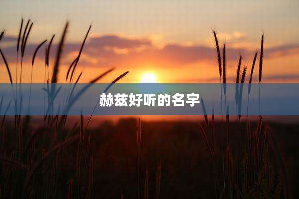 赫兹好听的名字