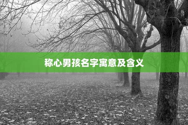 称心男孩名字寓意及含义