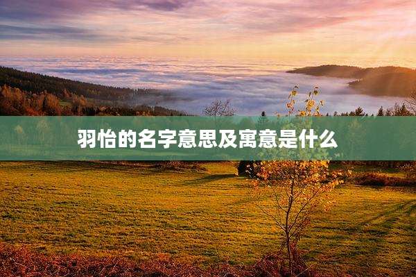 羽怡的名字意思及寓意是什么