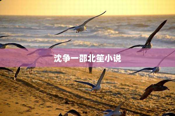 沈争一邵北笙小说