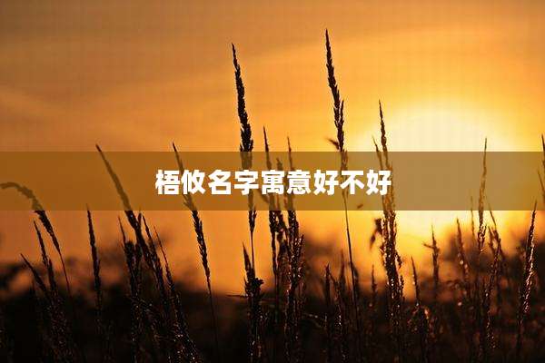 梧攸名字寓意好不好