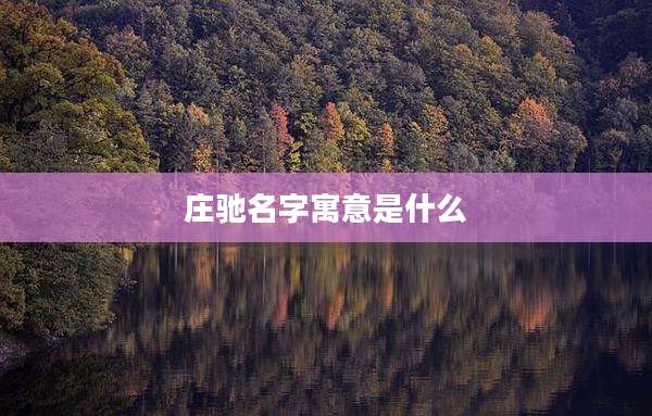 庄驰名字寓意是什么