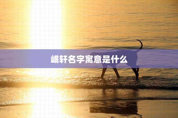 岷轩名字寓意是什么