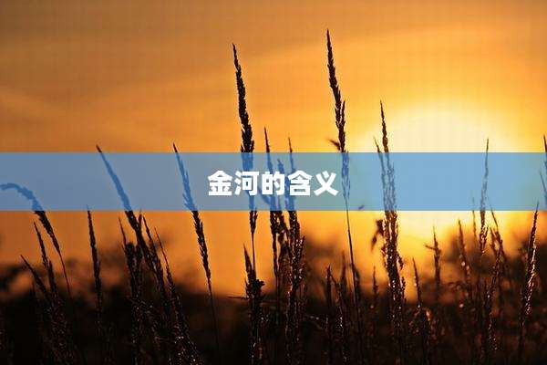 金河的含义