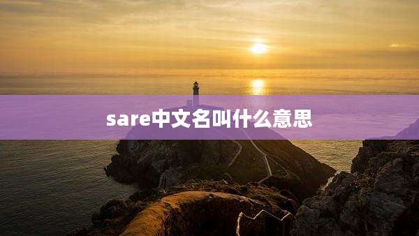 sare中文名叫什么意思