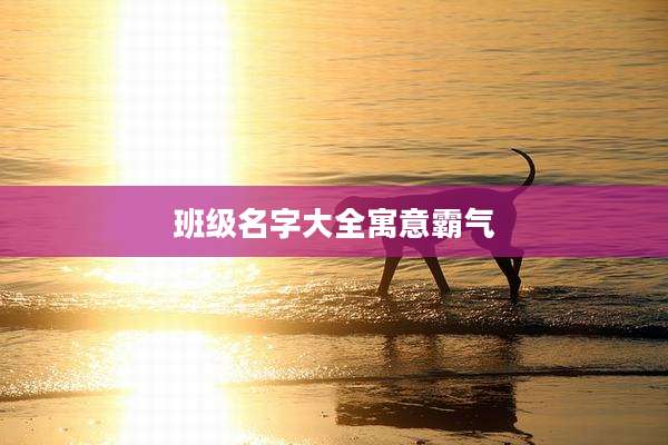 班级名字大全寓意霸气