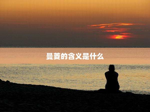 曼菱的含义是什么