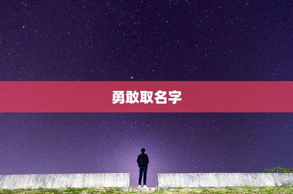 勇敢取名字