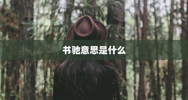 书驰意思是什么