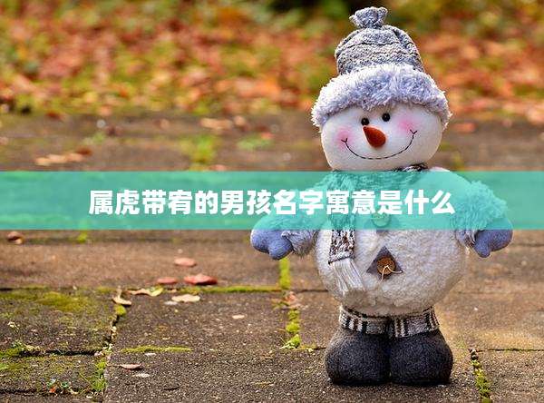 属虎带宥的男孩名字寓意是什么