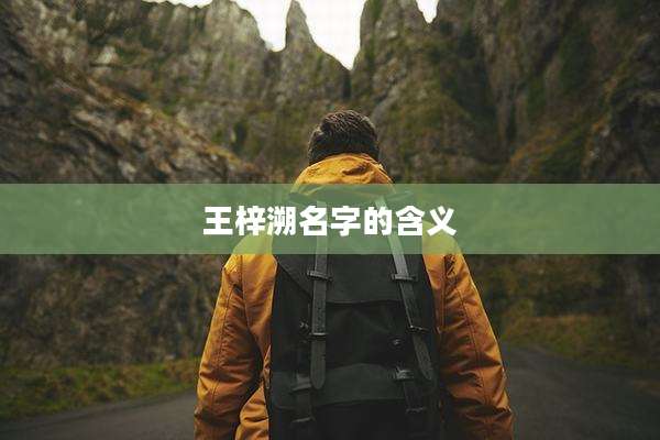 王梓溯名字的含义