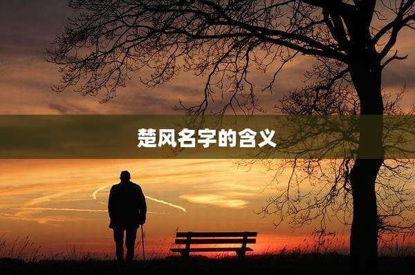 楚风名字的含义
