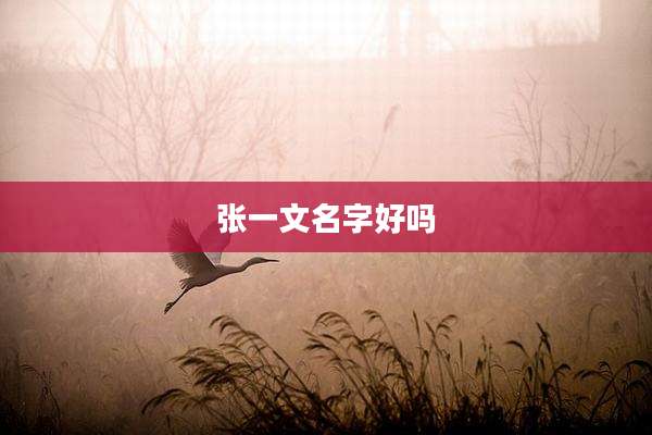 张一文名字好吗