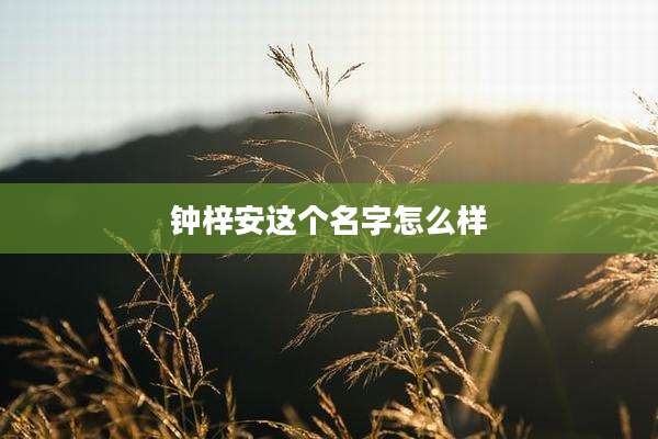 钟梓安这个名字怎么样