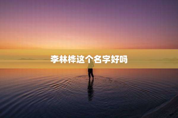 李林桦这个名字好吗