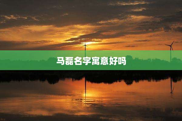 马磊名字寓意好吗