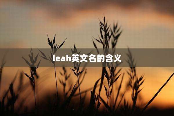 leah英文名的含义