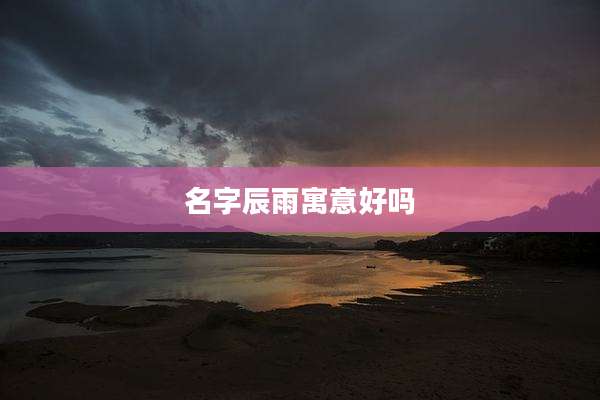 名字辰雨寓意好吗