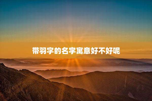 带羽字的名字寓意好不好呢