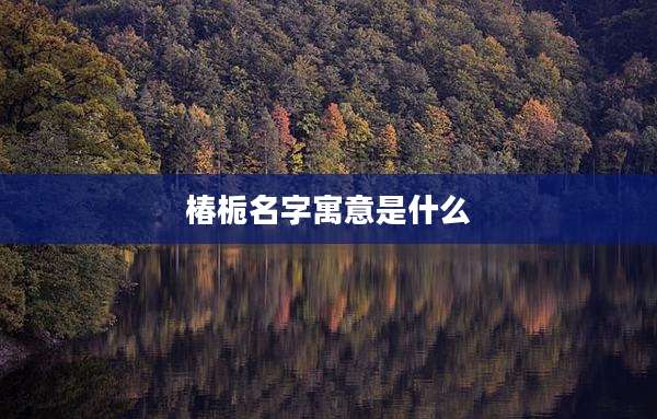 椿栀名字寓意是什么